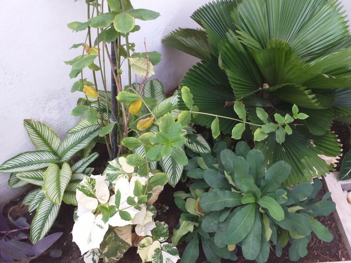 Karls Guesthouse 科托努 外观 照片
